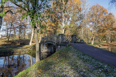 Similar image 22285152