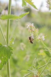 Similar image 22284722