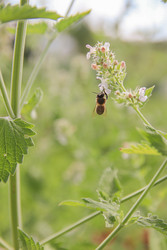 Similar image 22284724