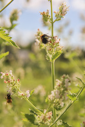 Similar image 22284725