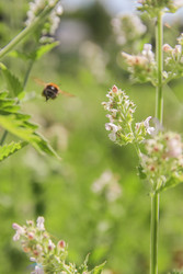 Similar image 22284726