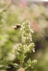 Similar image 22284727