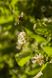 Similar image 22284728