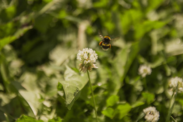 Similar image 22284729