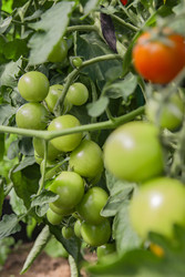 Similar image 22285099