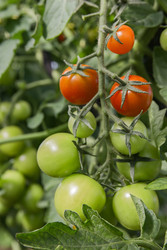 Similar image 22285100