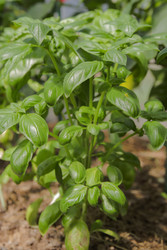 Similar image 22285101