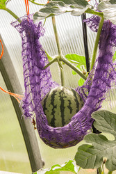 Similar image 22285103