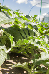 Similar image 22285163