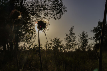 Similar image 22285105