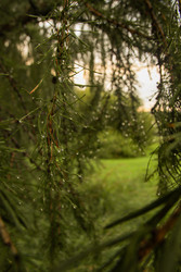 Similar image 22285106