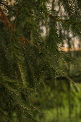 Similar image 22285107