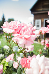 Similar image 22285108