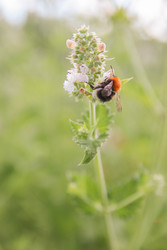 Similar image 22284730