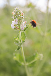 Similar image 22284731