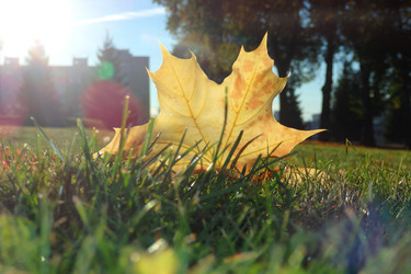 Similar image 22285015