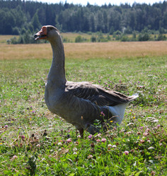 Similar image 22284734