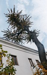 Similar image 22284735