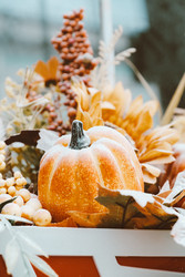 Similar image 22284736