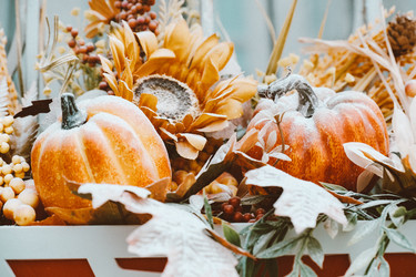 Similar image 22284737