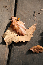 Similar image 22284751