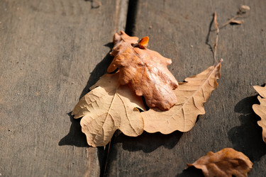 Similar image 22284752