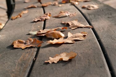 Similar image 22284753