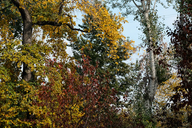 Similar image 22284754