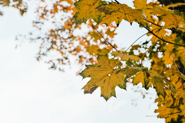 Similar image 22284755