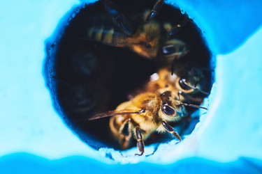 Similar image 22261412