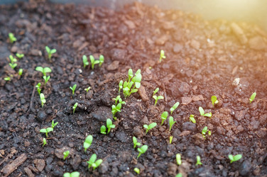 Similar image 22285025