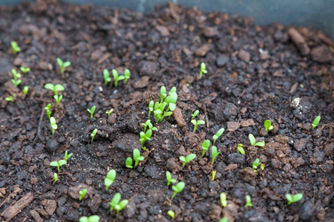 Similar image 22285623