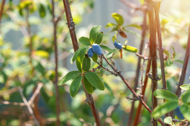 Similar image 22285026