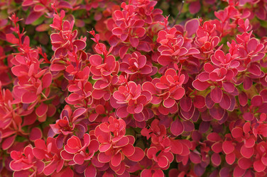 Similar image 22287400