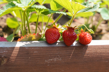 Similar image 22285028