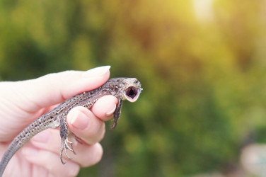 Similar image 22285624