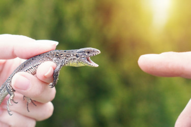 Similar image 22285625