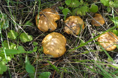 Similar image 22289137