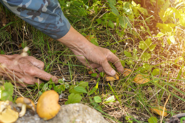 Similar image 22289138