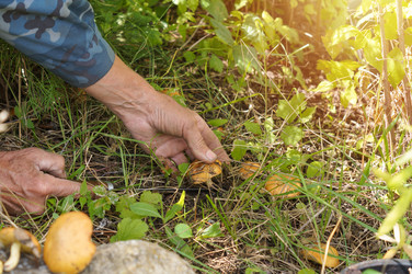 Similar image 22289139