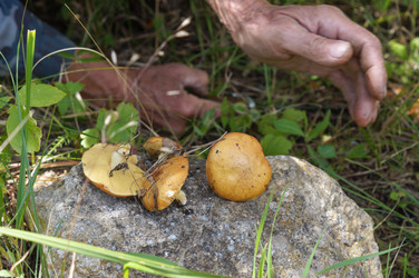 Similar image 22289140