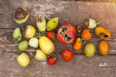 Similar image 22289141