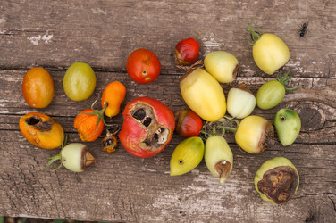 Similar image 22289142