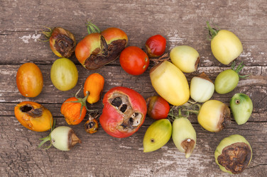 Similar image 22289143