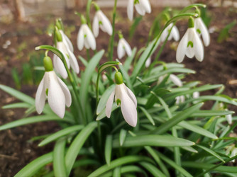 Similar image 22284978