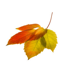 Similar image 22285112