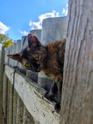 Similar image 22285030