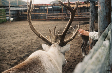 Similar image 22284981