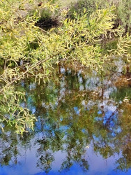 Similar image 22287647