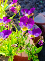 Similar image 22287649